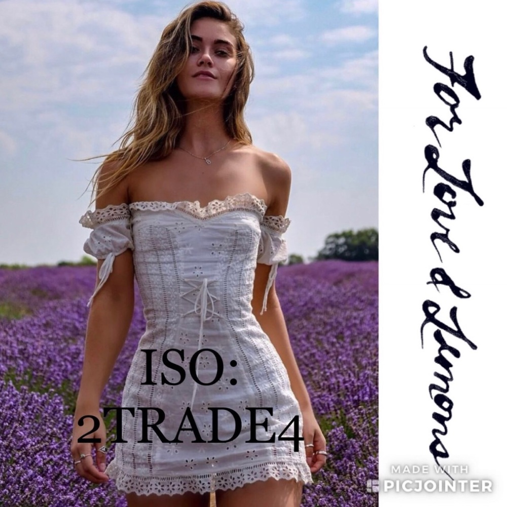 ISO FOR LOVE AND LEMONS